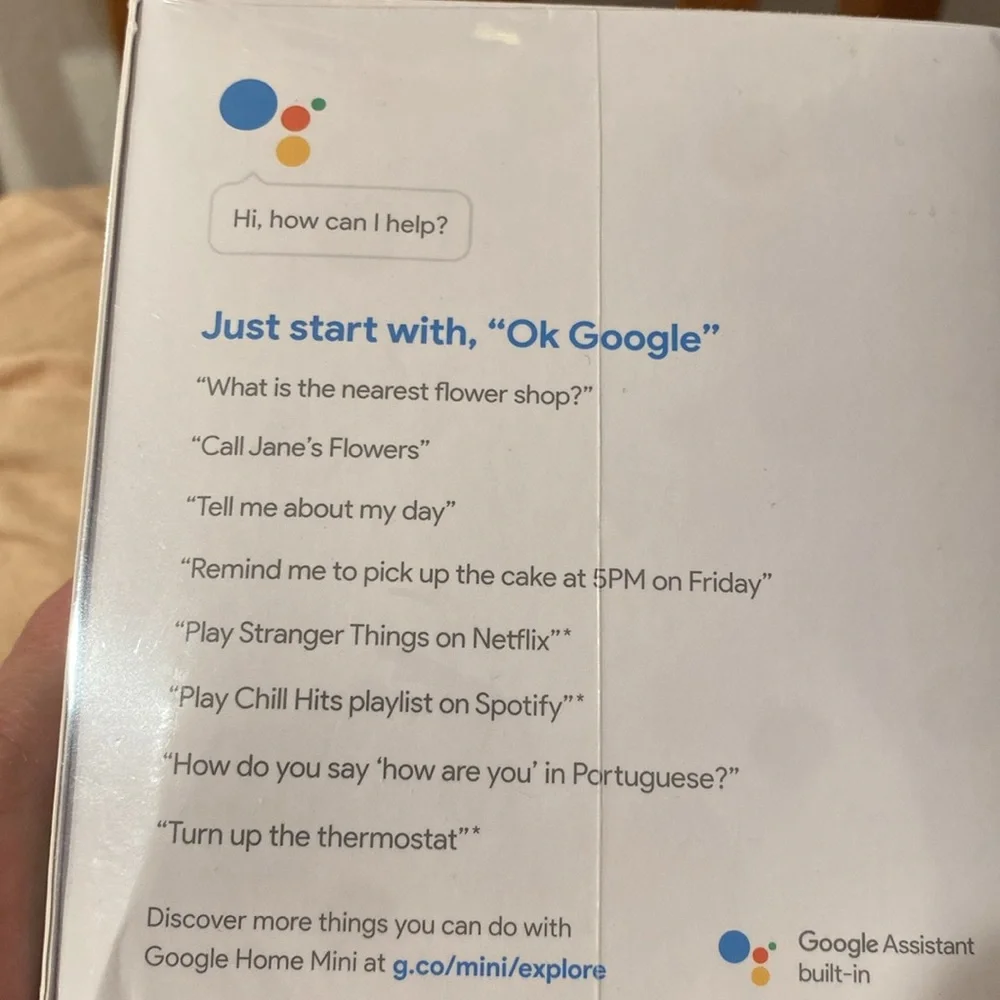google compact home